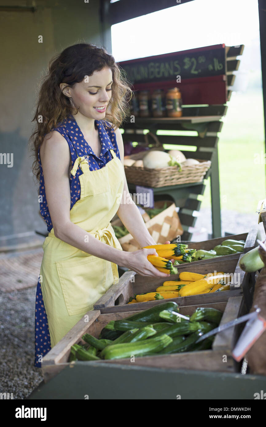 Ein Bio-Obst und Gemüse Bauernhof. Eine junge Frau, die Sortierung von Gemüse. Stockfoto