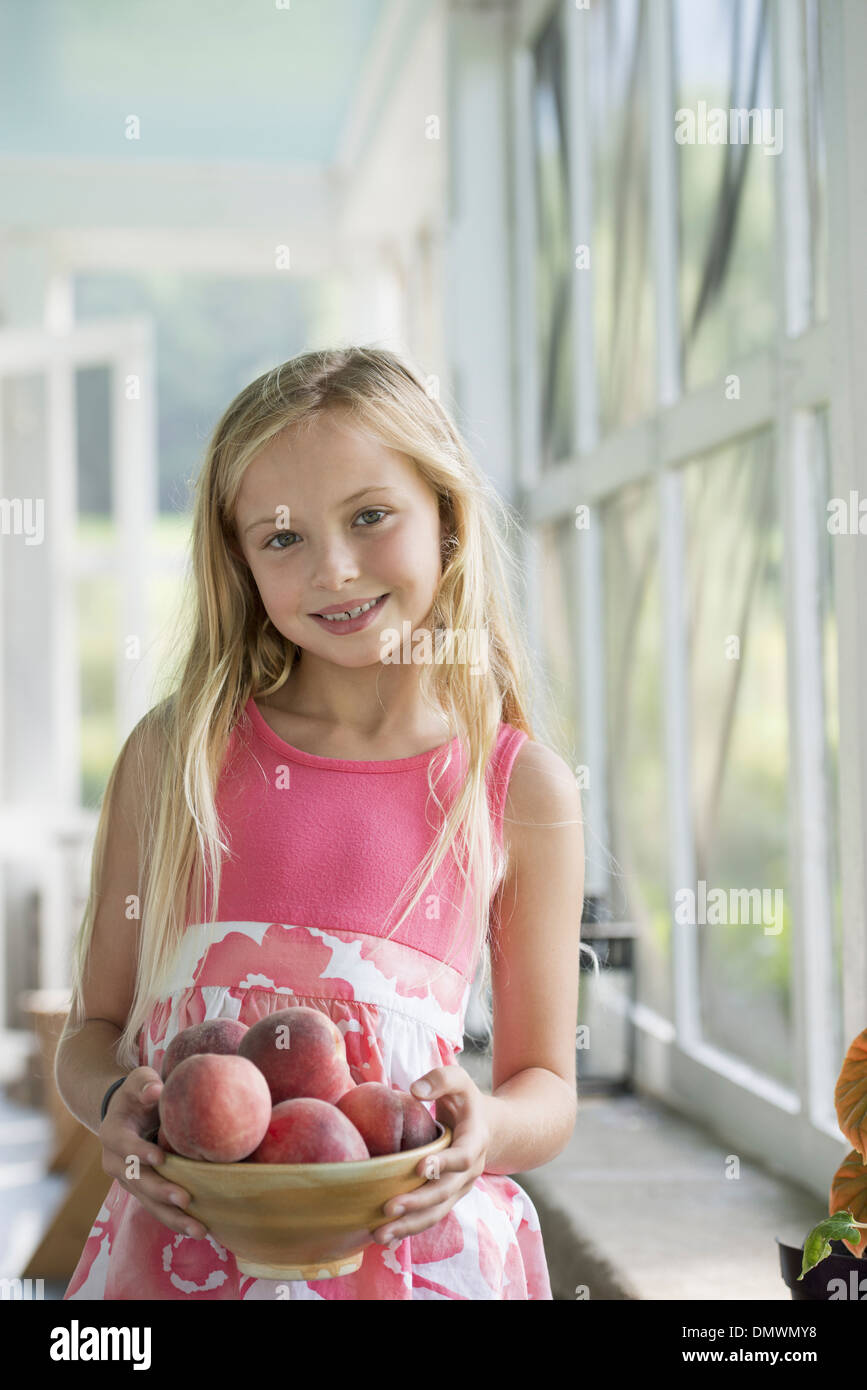 Ein junges Mädchen hält einen Arm voll frische Pfirsiche. Stockfoto