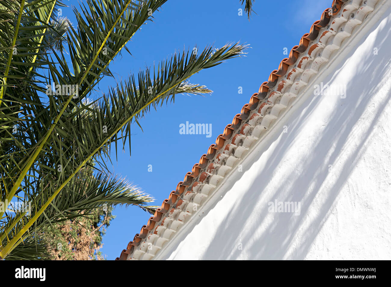 Palm Leaf Schatten auf weiße Wand, Yaiza, Lanzarote, Kanarische Inseln, Spanien Stockfoto