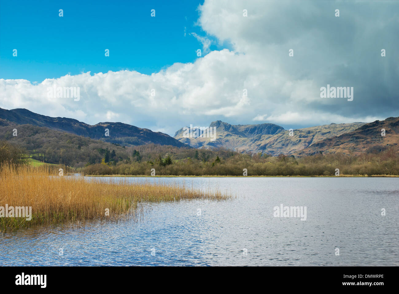 Elterwater und Langdale Pikes, Nationalpark Lake District, Cumbria, England UK Stockfoto