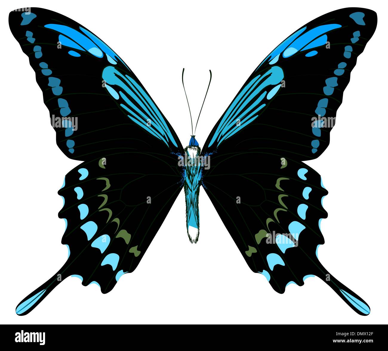 Schöne Vektor isoliert blauer Schmetterling Stock Vektor