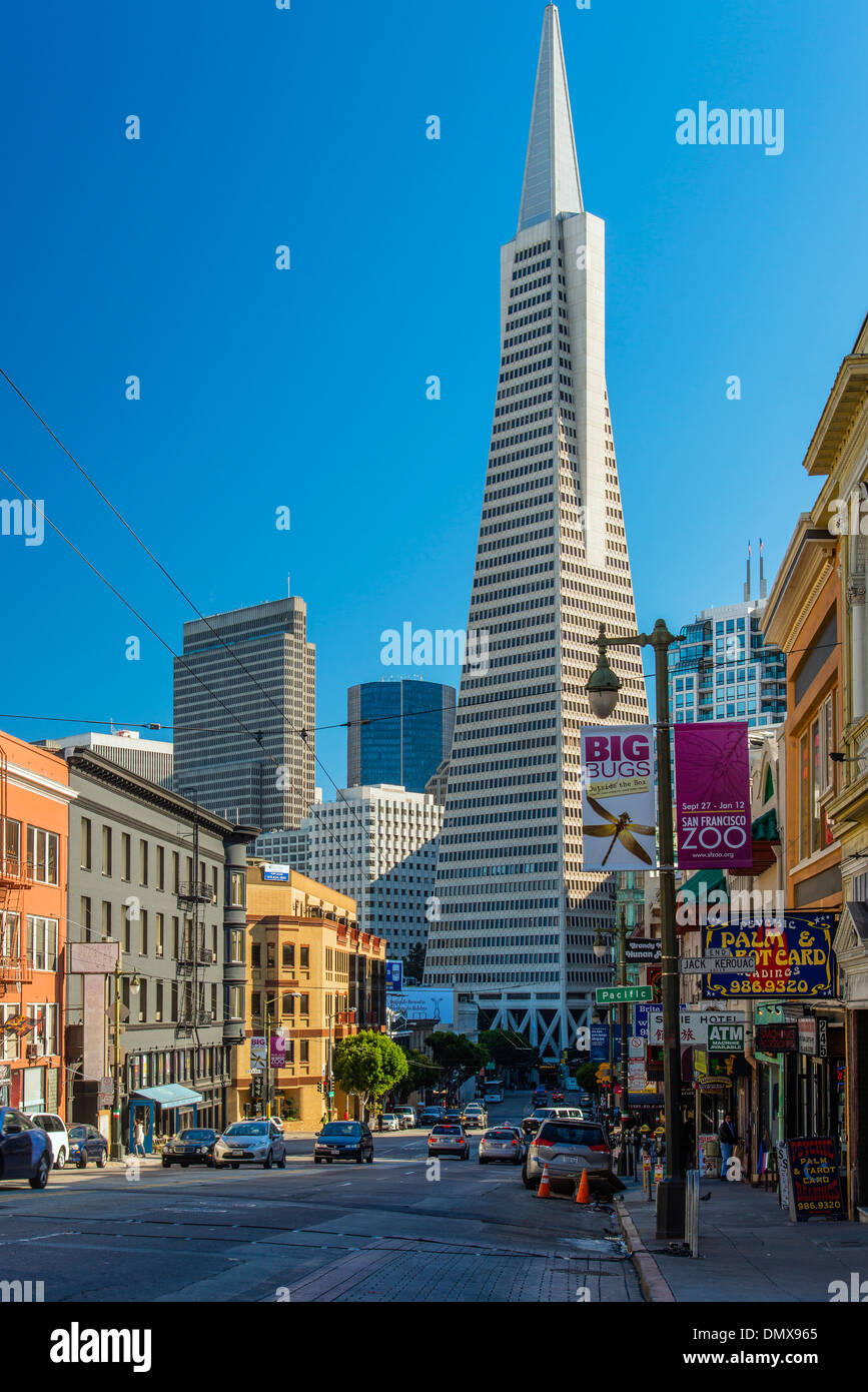 Die Transamerica Pyramid Gebäude gesehen aus Columbus Avenue, San Francisco, Kalifornien, USA Stockfoto