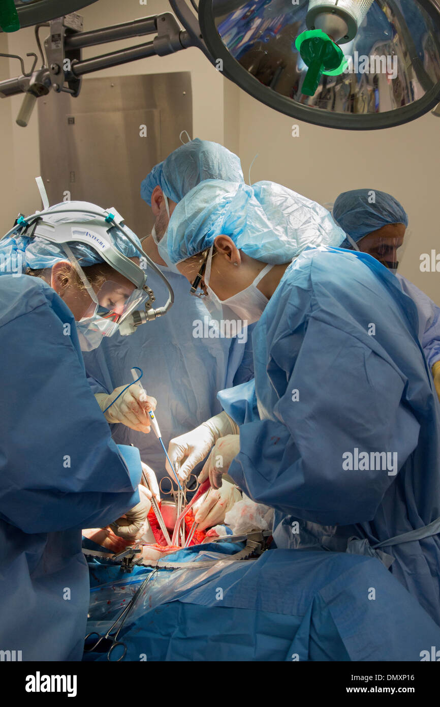 Chirurgen führen eine Hysterektomie auf eine Frau mit Endometriumkarzinom. Stockfoto