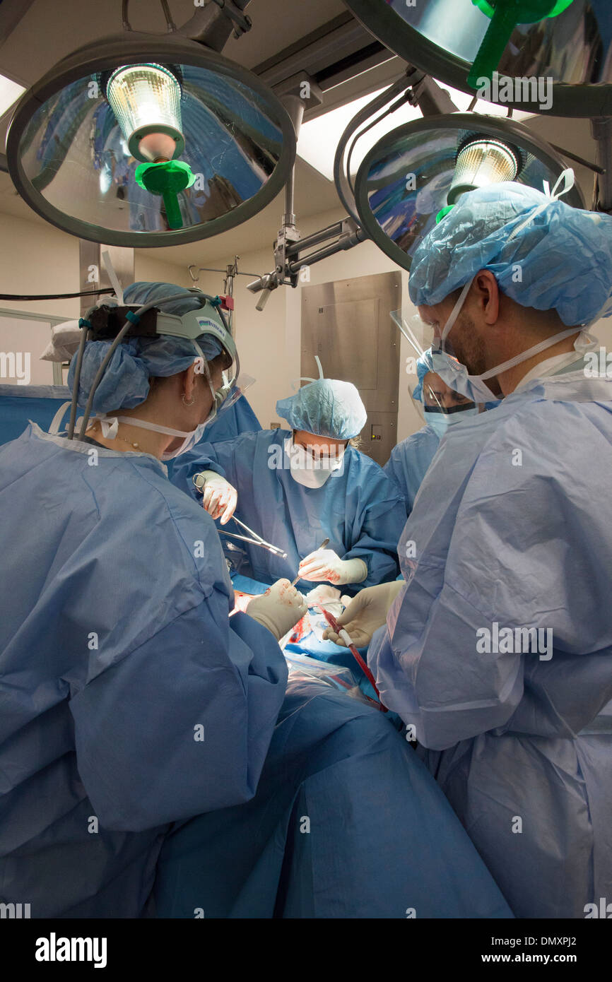 Chirurgen führen eine Hysterektomie auf eine Frau mit Endometriumkarzinom. Stockfoto