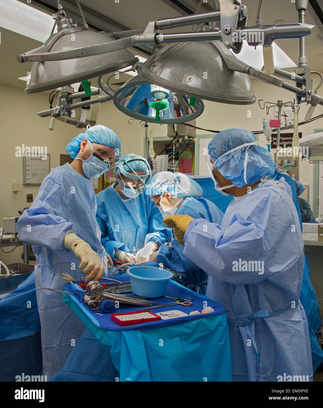 Chirurgen führen eine Hysterektomie auf eine Frau mit Endometriumkarzinom. Stockfoto