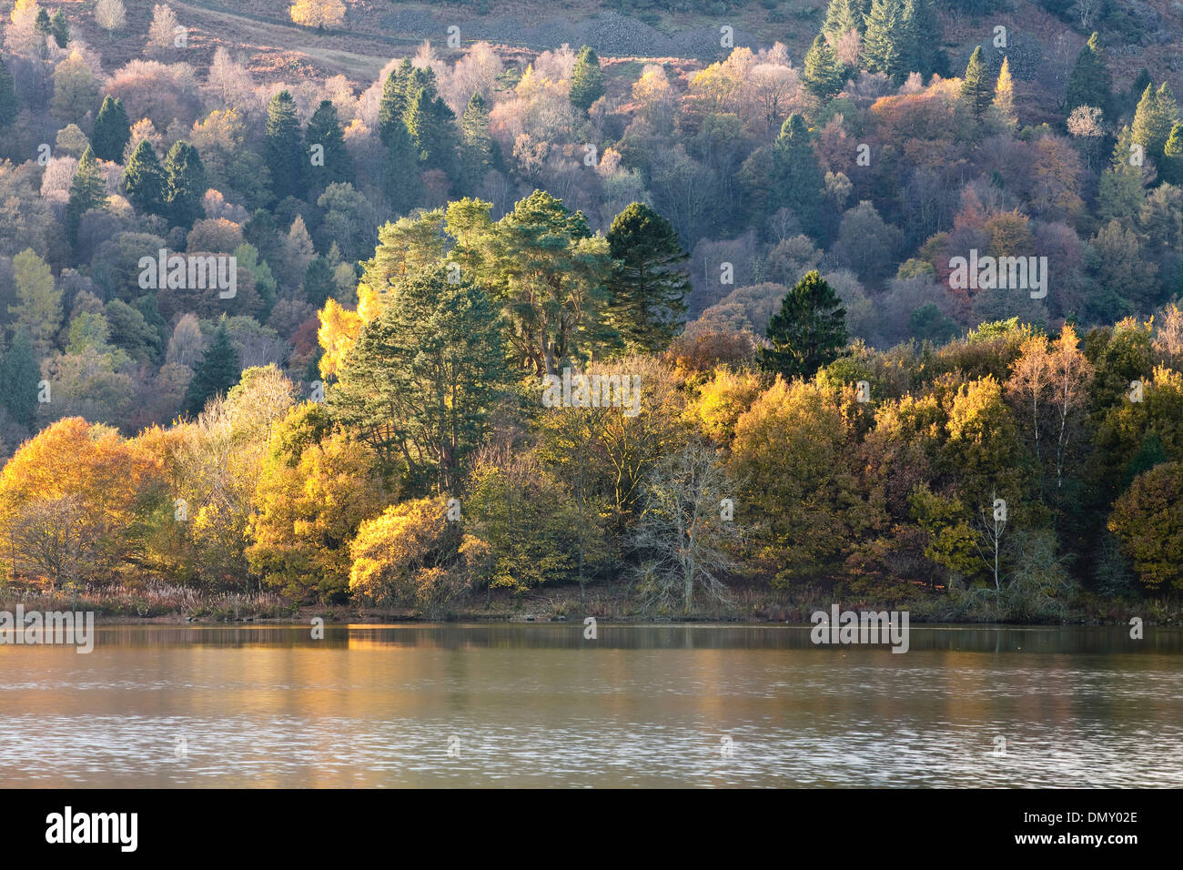 Herbstfärbung in Grasmere See in den Lake District National Park. Stockfoto
