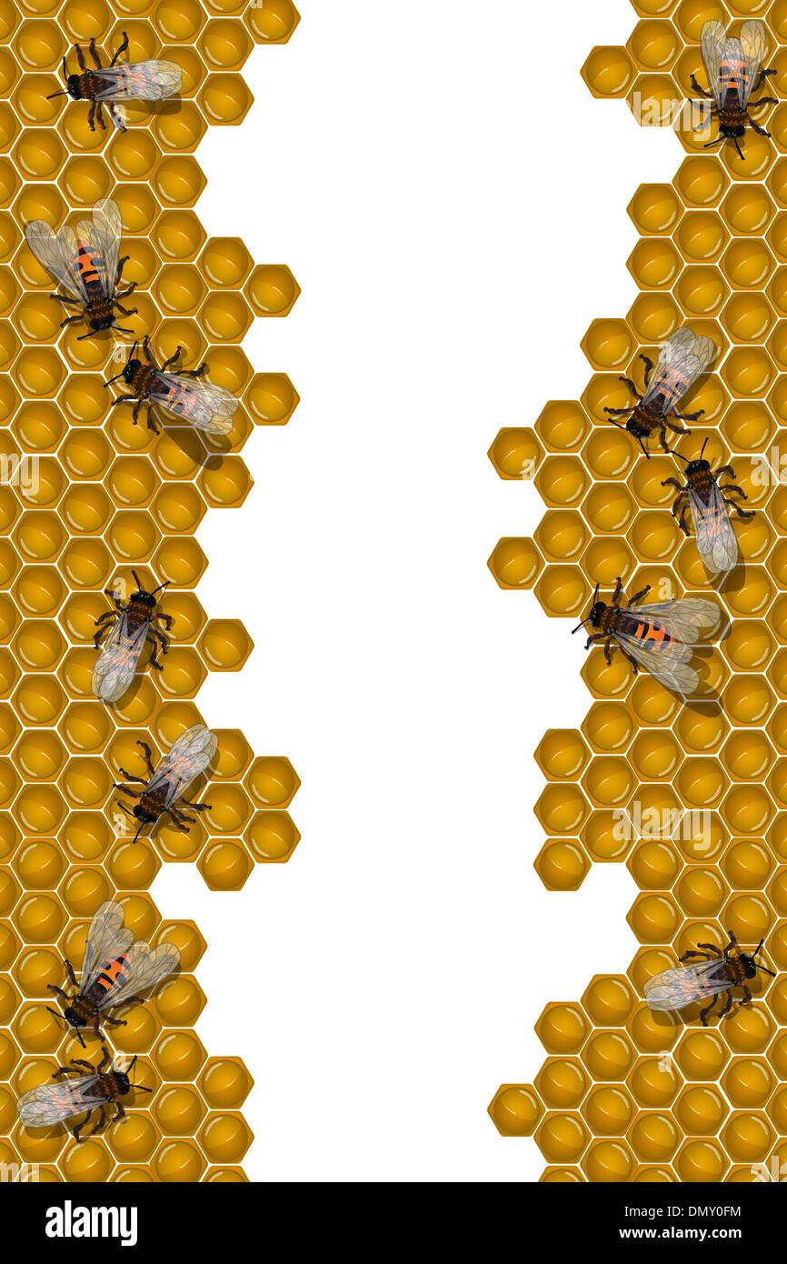 Bienen arbeiten frame Stock Vektor