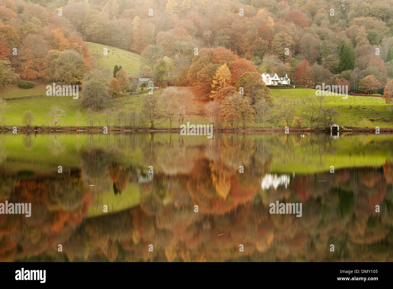 Herbstfarben in Grasmere See in den Lake District National Park reflektiert. Stockfoto