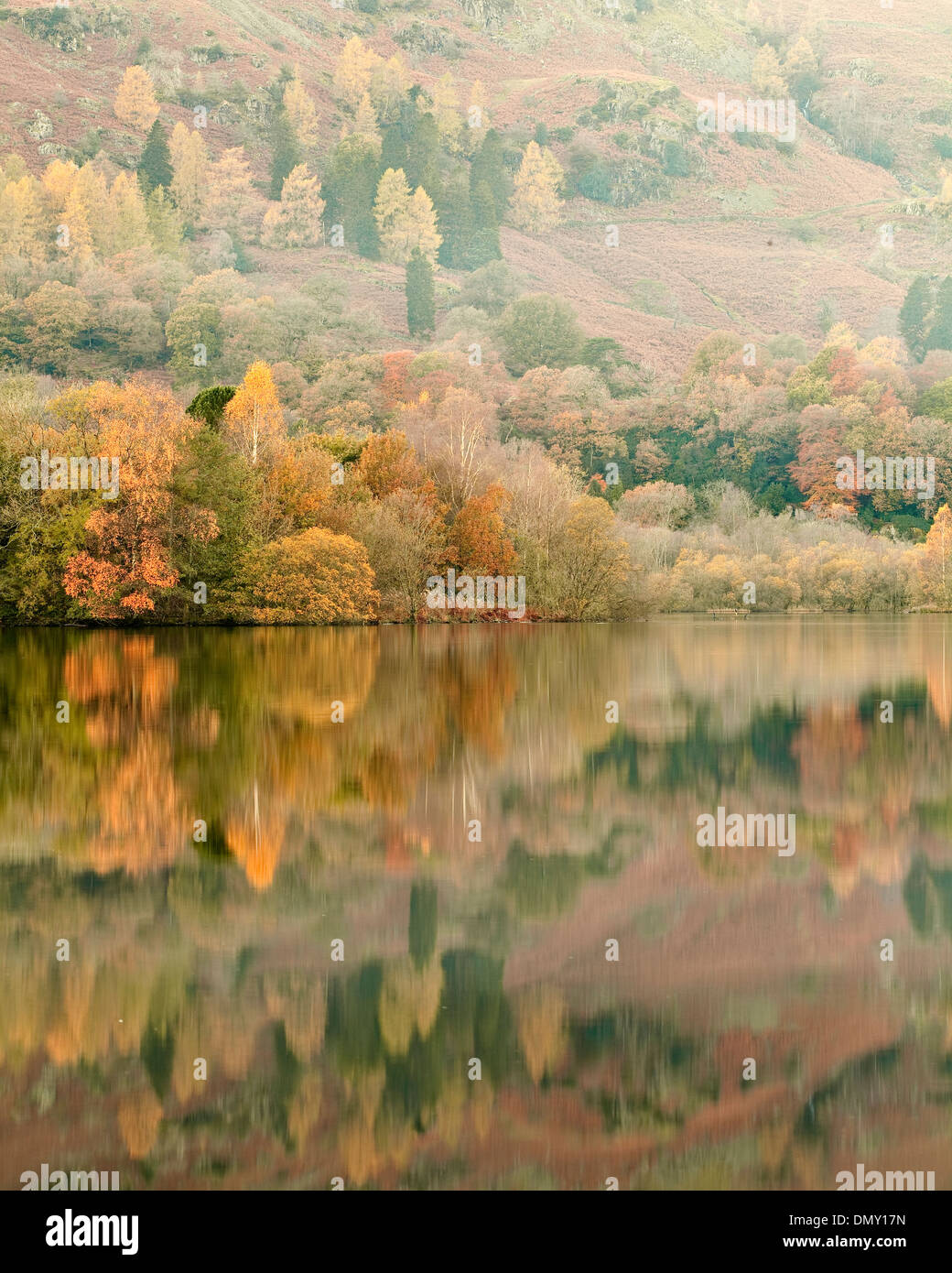 Herbstfarben in Grasmere See in den Lake District National Park reflektiert. Stockfoto