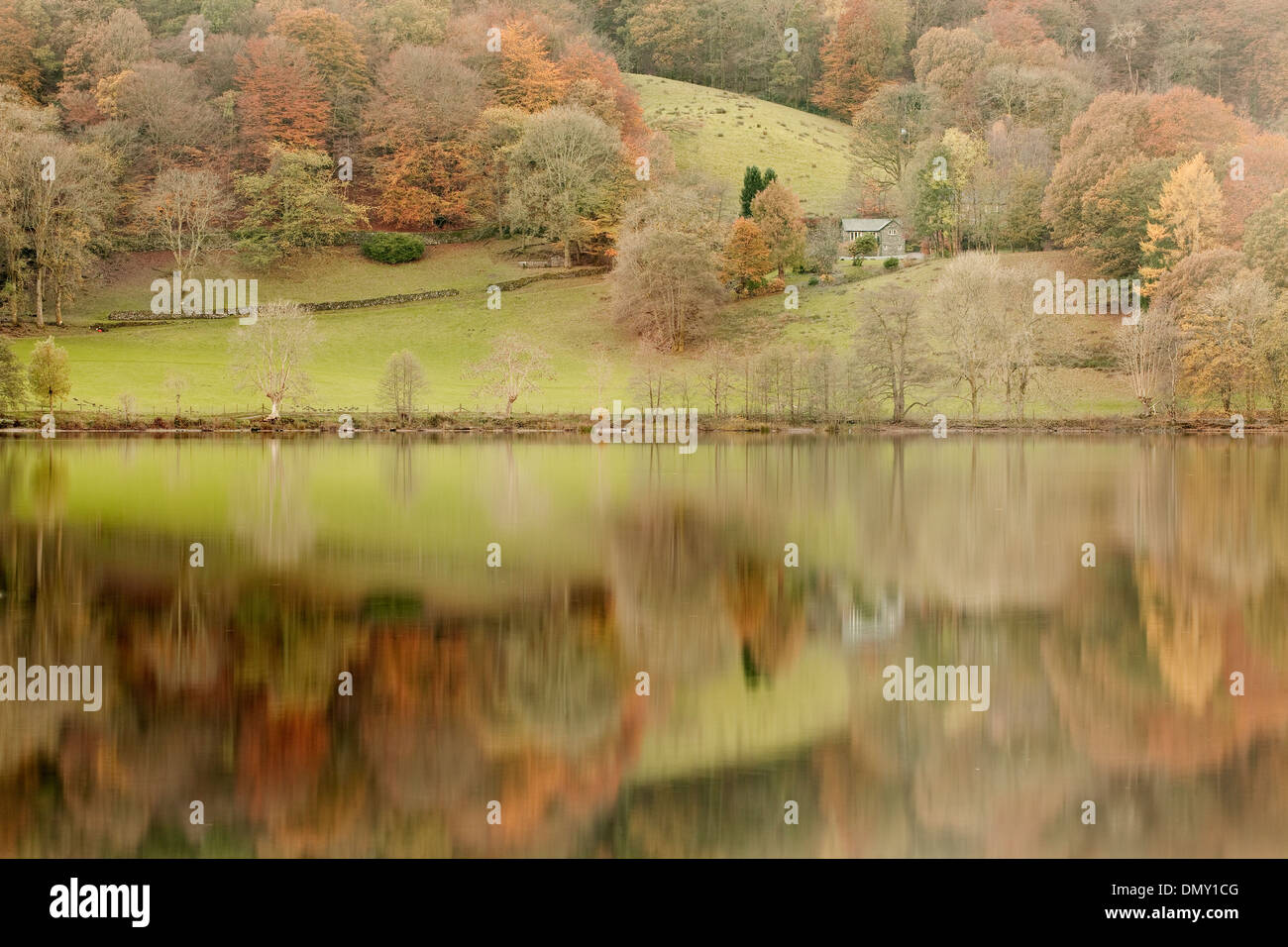 Herbstfarben in Grasmere See in den Lake District National Park reflektiert. Stockfoto