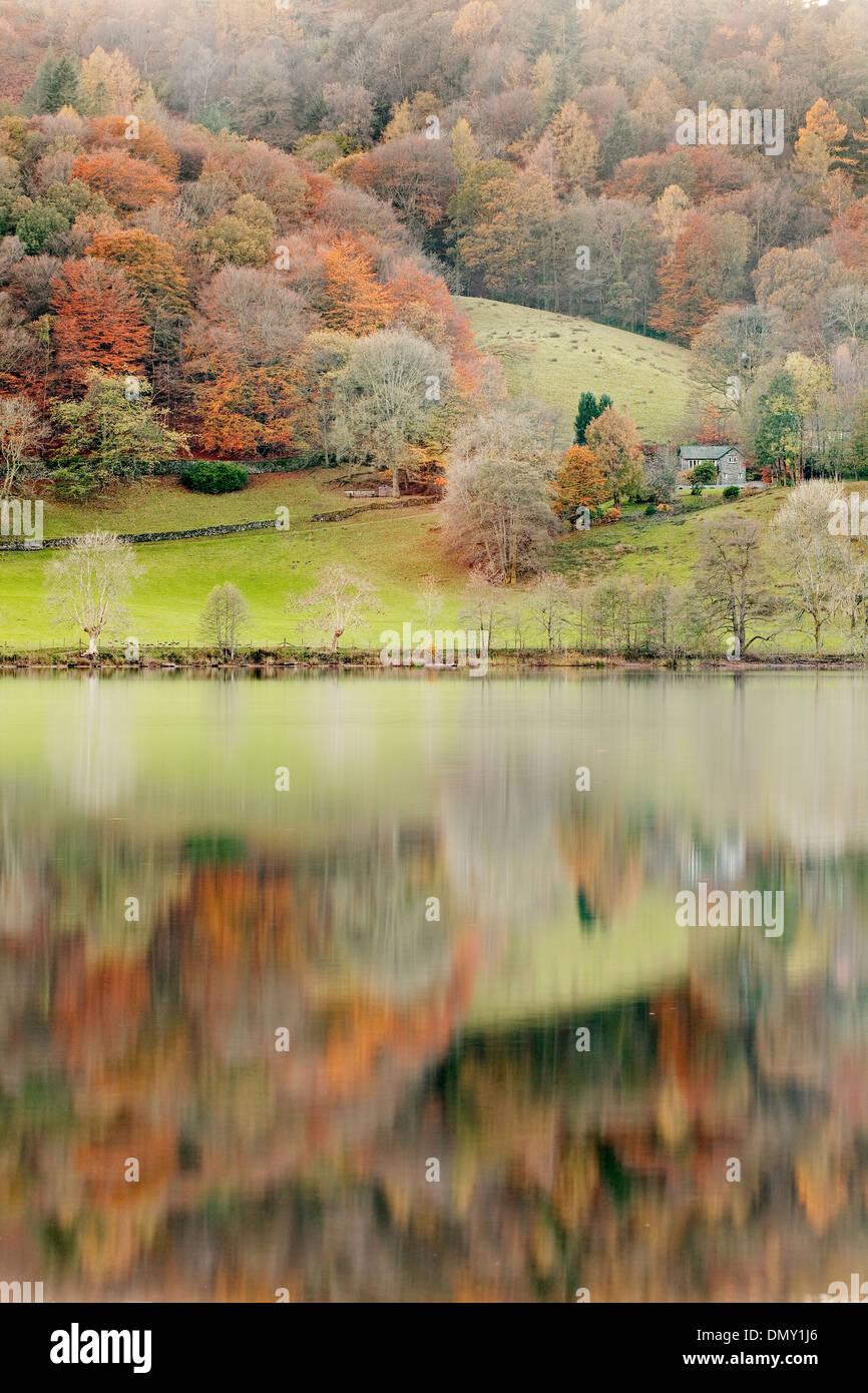 Herbstfarben in Grasmere See in den Lake District National Park reflektiert. Stockfoto