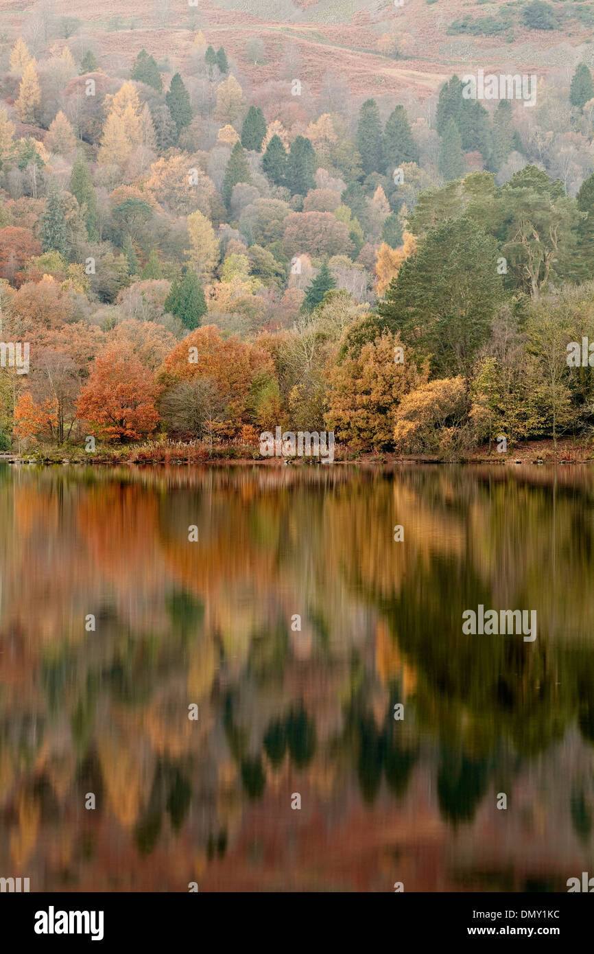 Herbstfarben in Grasmere See in den Lake District National Park reflektiert. Stockfoto