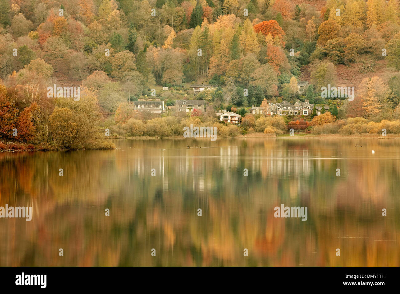 Herbstfarben in Grasmere See in den Lake District National Park reflektiert. Stockfoto