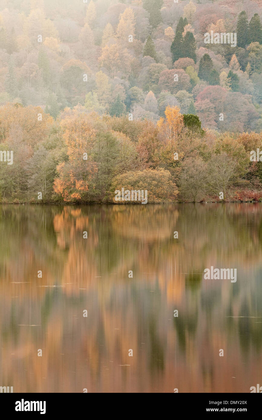 Herbstfarben in Grasmere See in den Lake District National Park reflektiert. Stockfoto