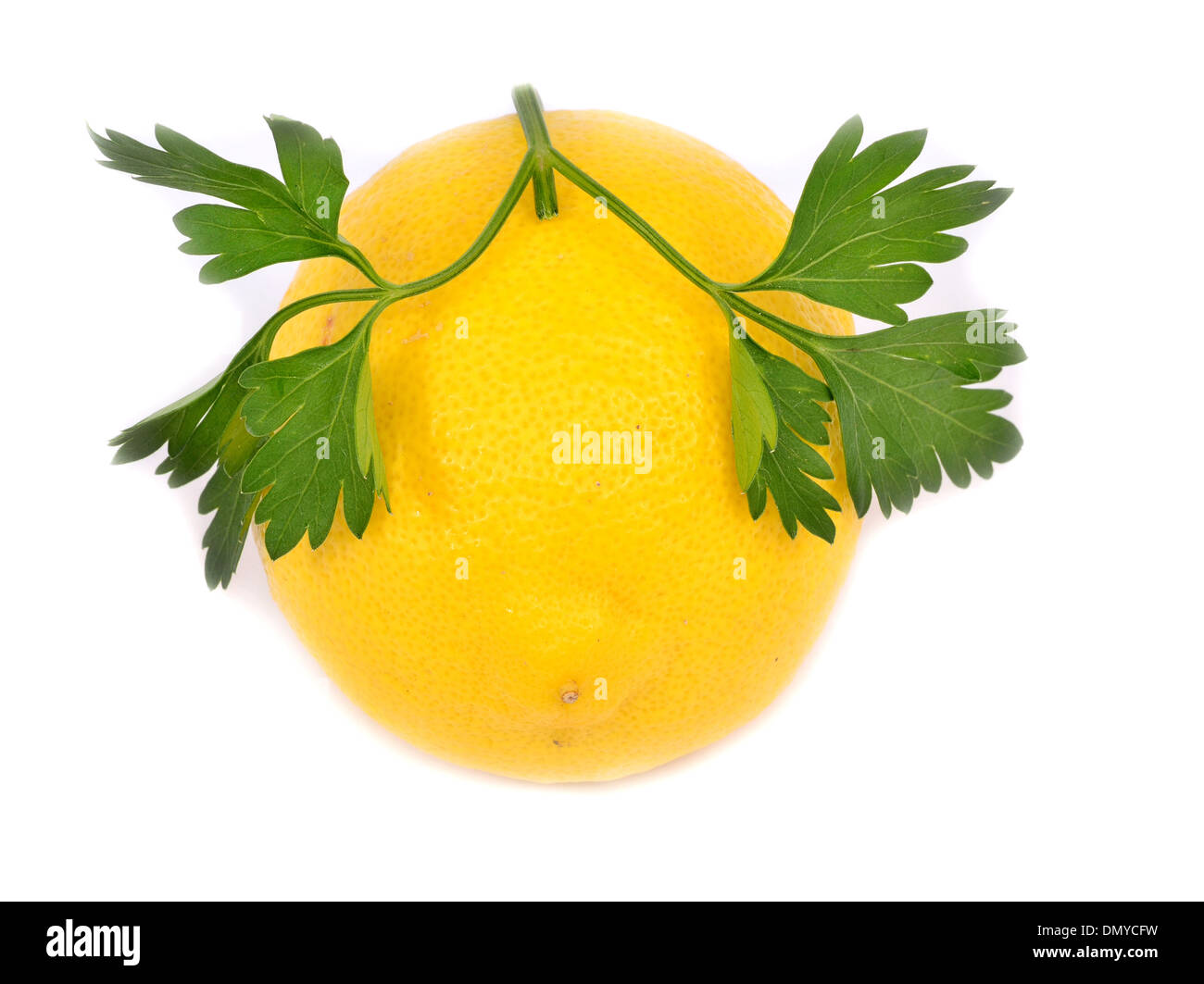 Zitrone mit Petersilie isoliert auf weißem Hintergrund Stockfoto Zitrone mit Petersilie isoliert auf weißem Hintergrund Stockfoto