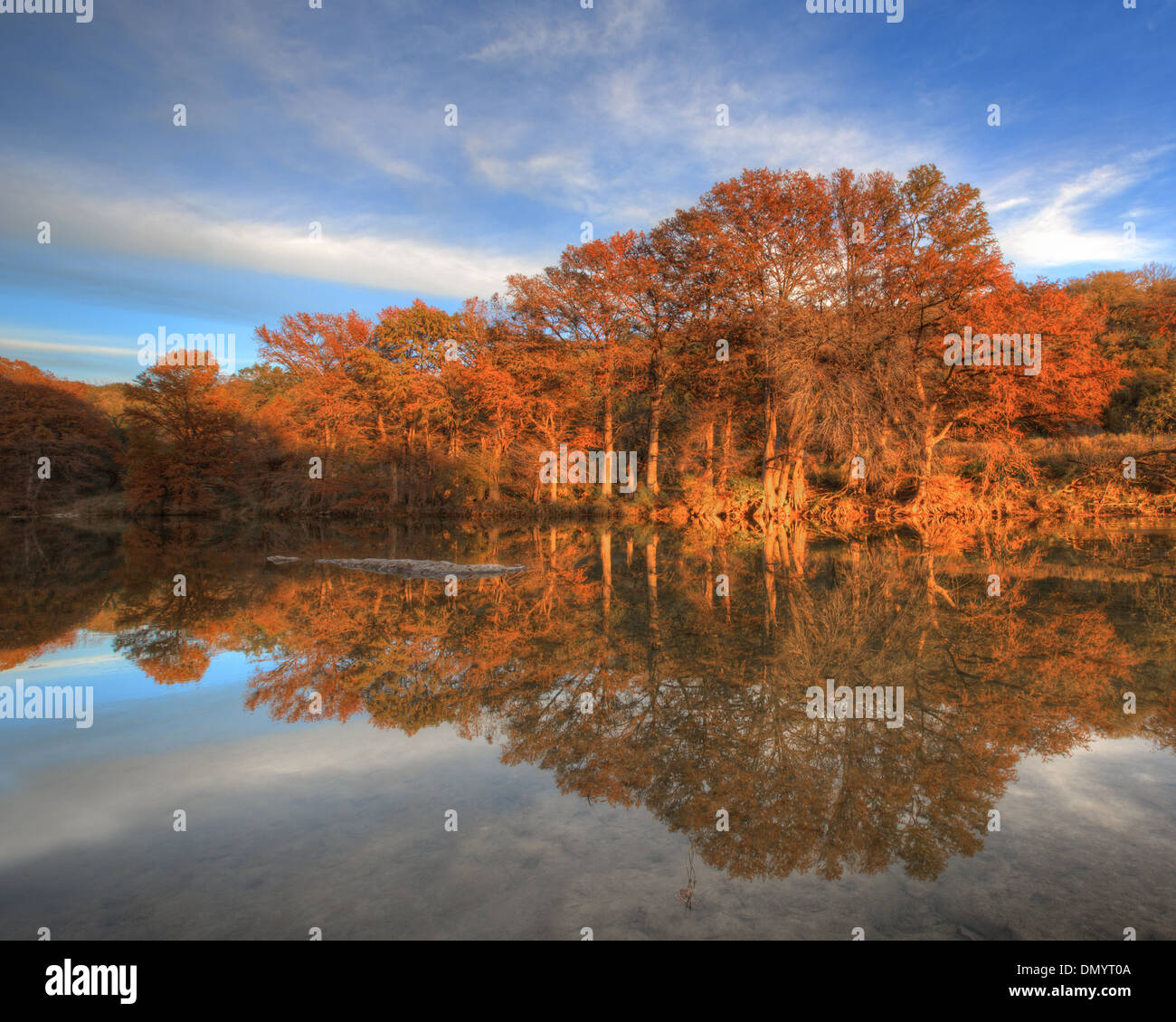 Ende November wiederum die Zypressen in Texas Hill Country eine lebendige Orange. Diese Szene stammt aus der Pedernales River. Stockfoto