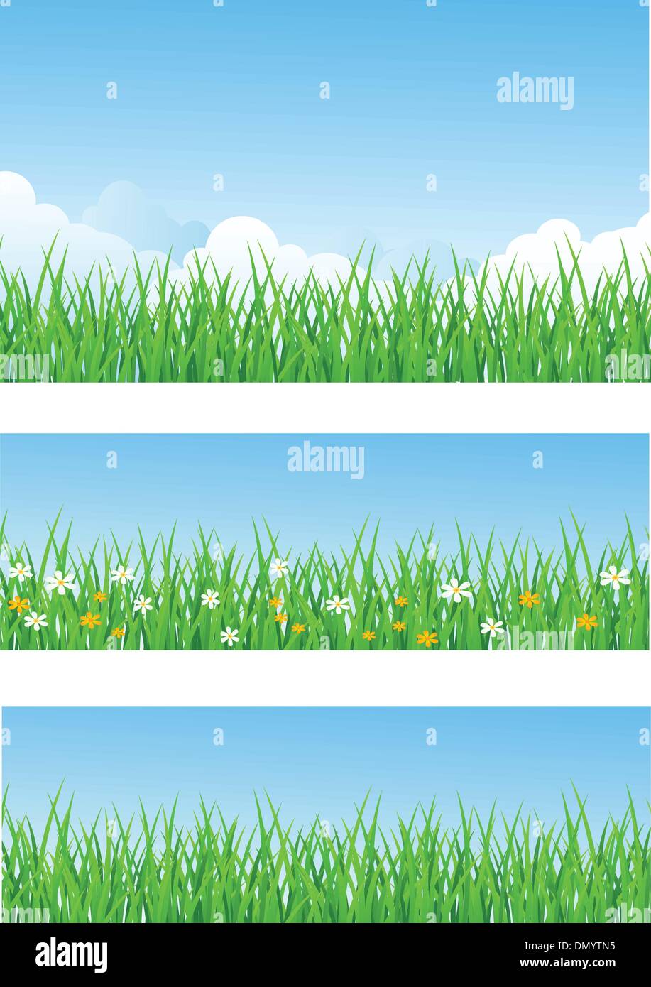 Grass-Hintergrund Stock Vektor