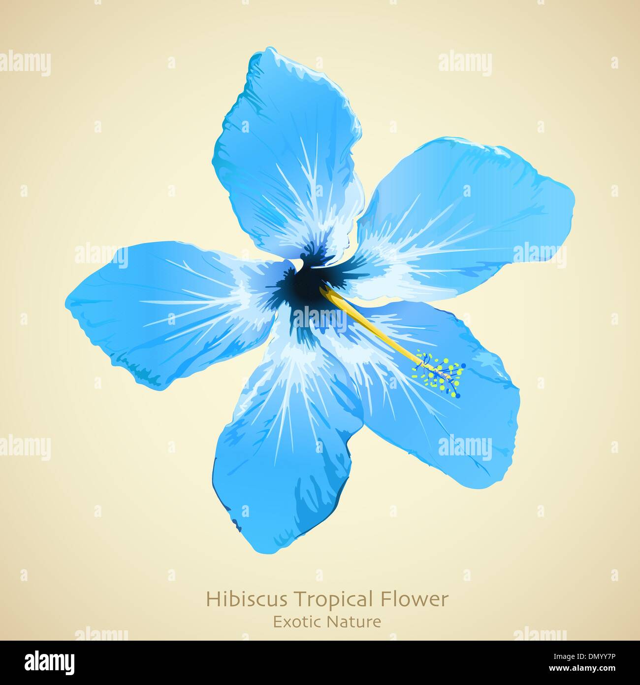 Hibiskus Blume Vektor-Illustration. Tropischen Hintergrund-design Stock Vektor