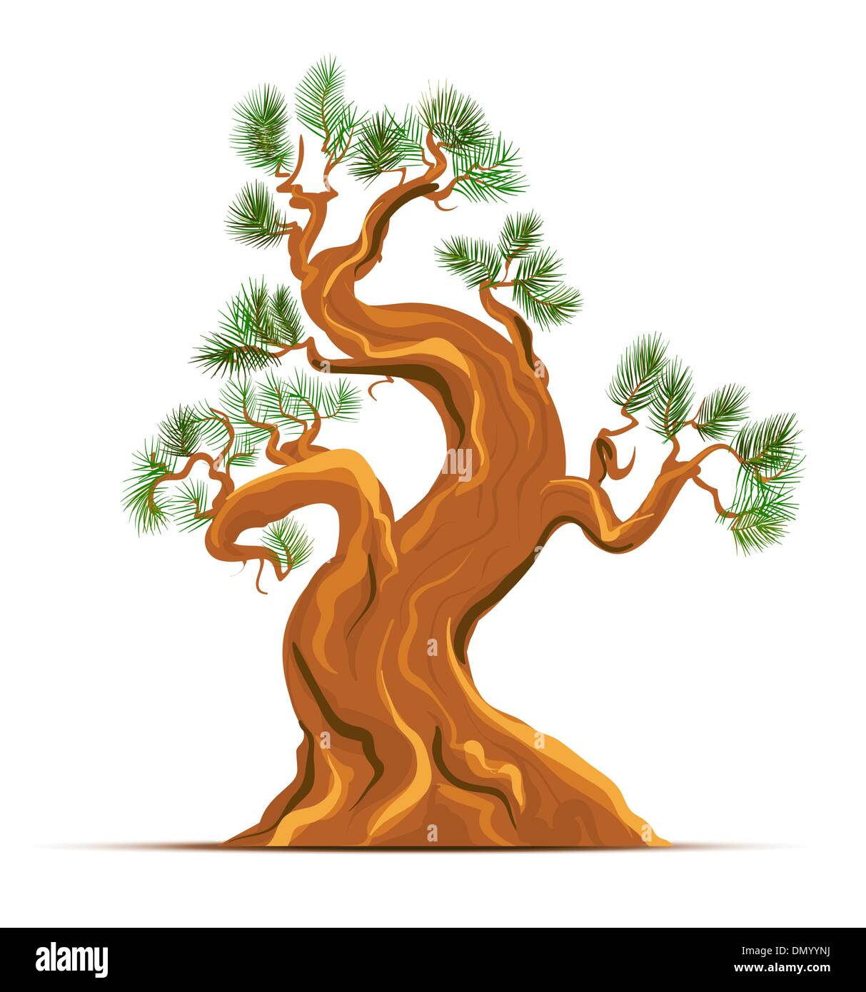 Alten Pine Tree Vektorgrafiken Stock Vektor