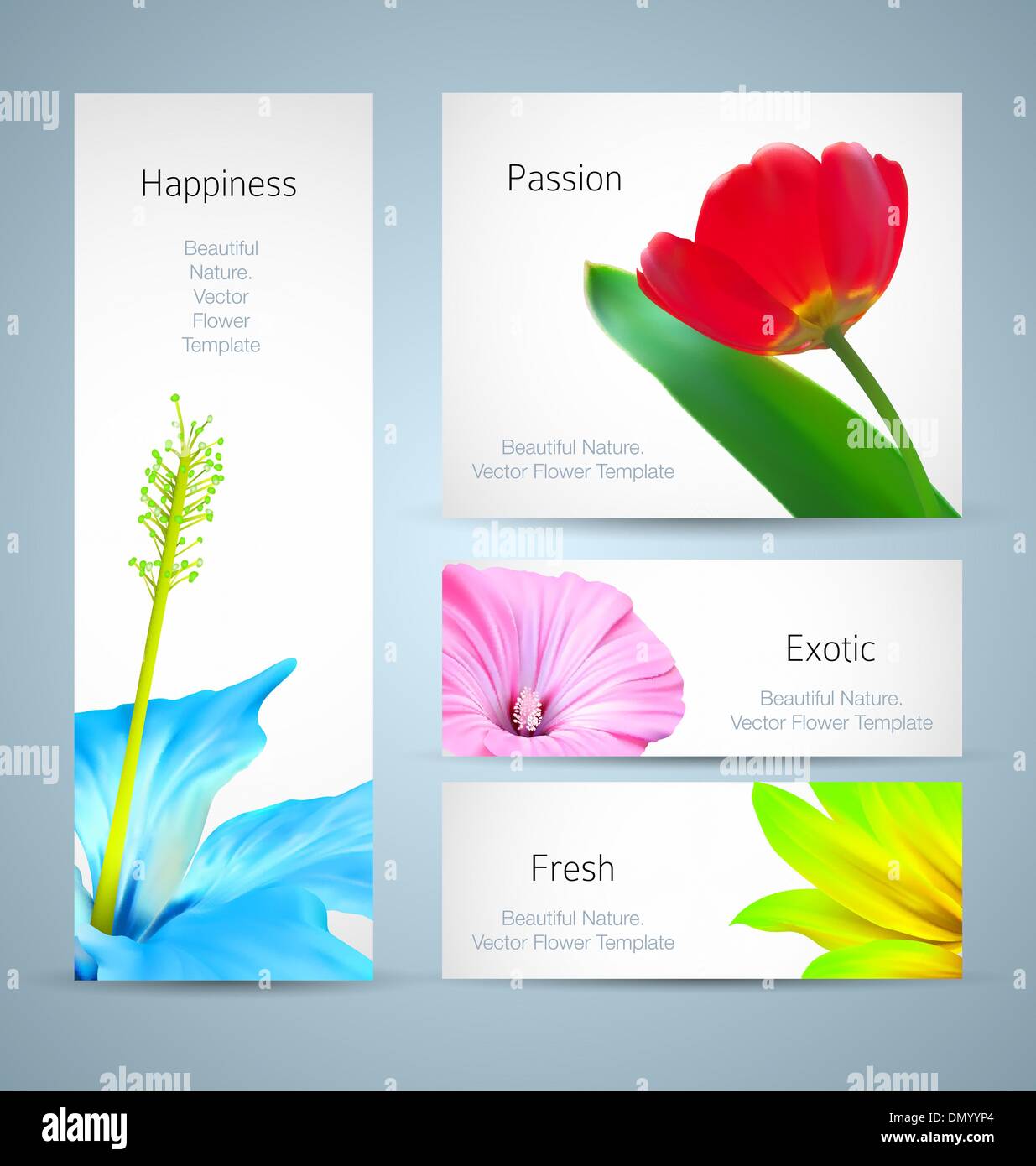 Blumen-Broschüre-Hintergrund-Design. Vektor-Kartenvorlage Stock Vektor