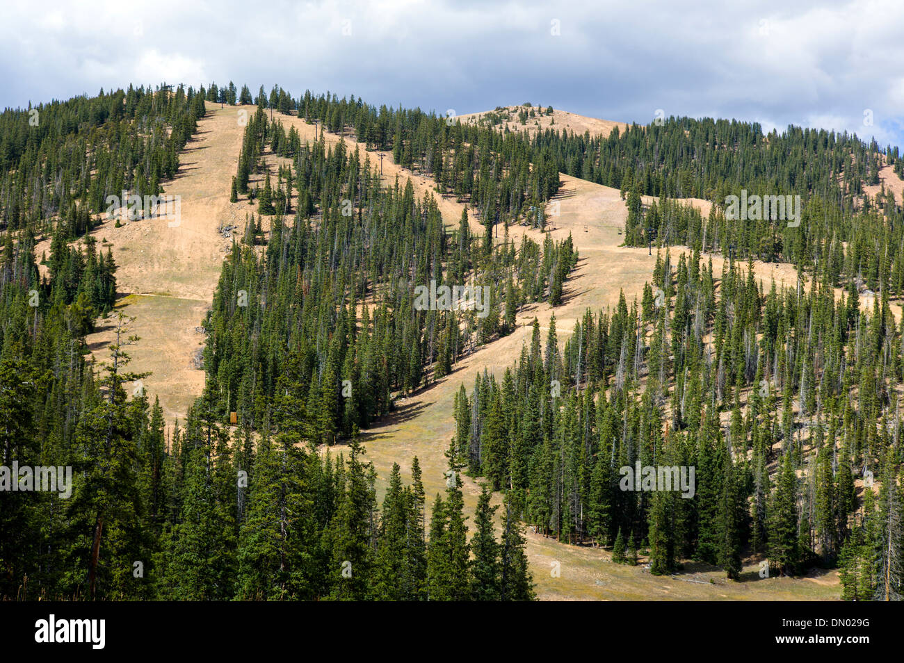 Sommer-Ansicht der Ski- und Snowboard-Trails, Monarch Mountain, Colorado, USA Stockfoto