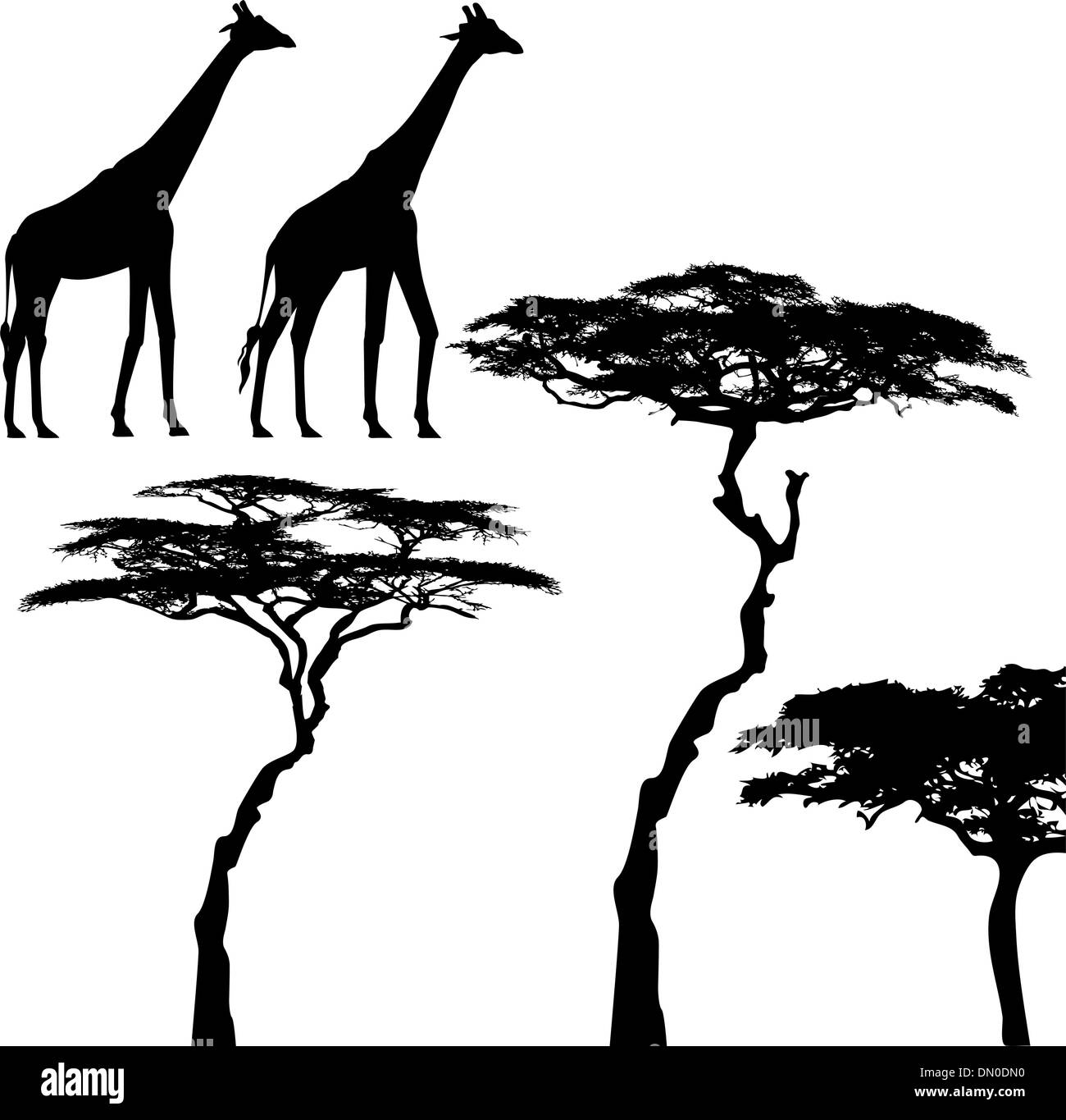 Afrikanische Tiere, Giraffe, Vektor, Silhouetten Stock Vektor