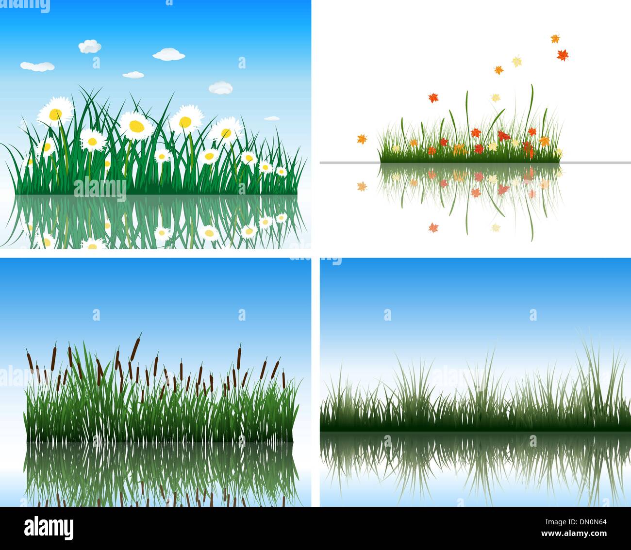 Wasser-Flora-set Stock Vektor