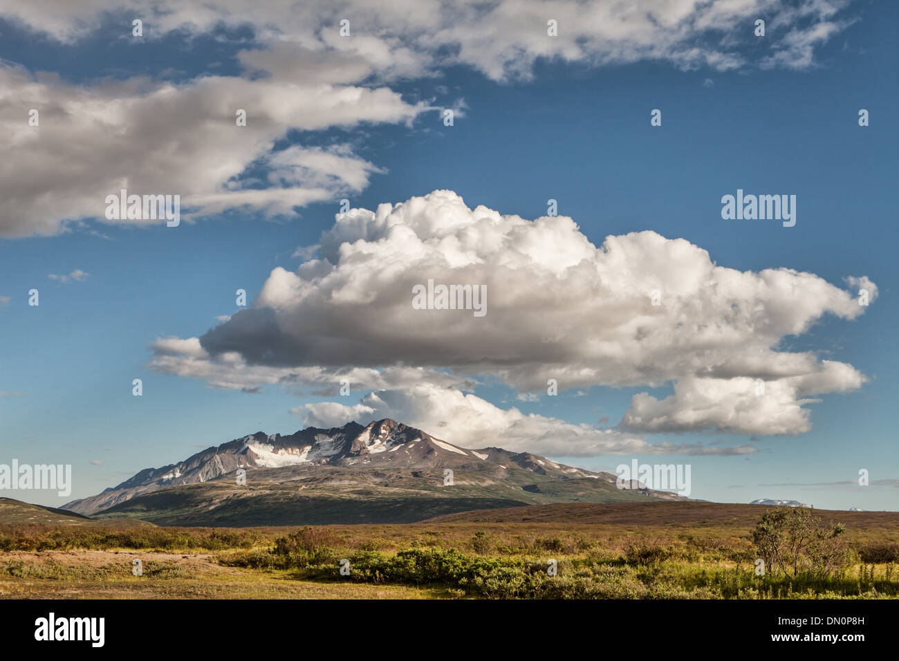 Ansicht des Yukon Territoriums Wildnis im Sommer mit geschwollenen Wolken. Stockfoto