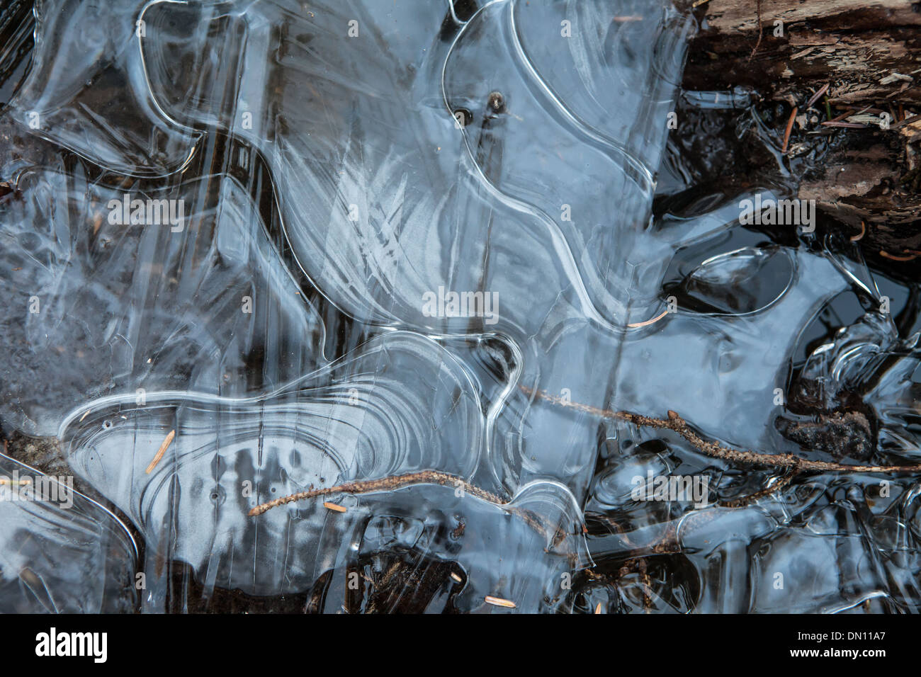 Eis-Muster am Rand von einem eiskalten Bach zu Beginn des Winters. Stockfoto