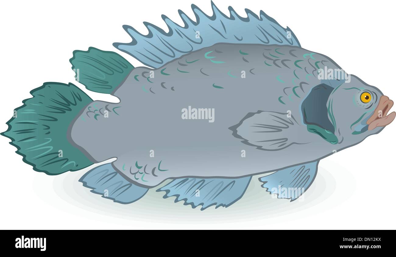 Fisch, isoliert auf weiss Stock Vektor