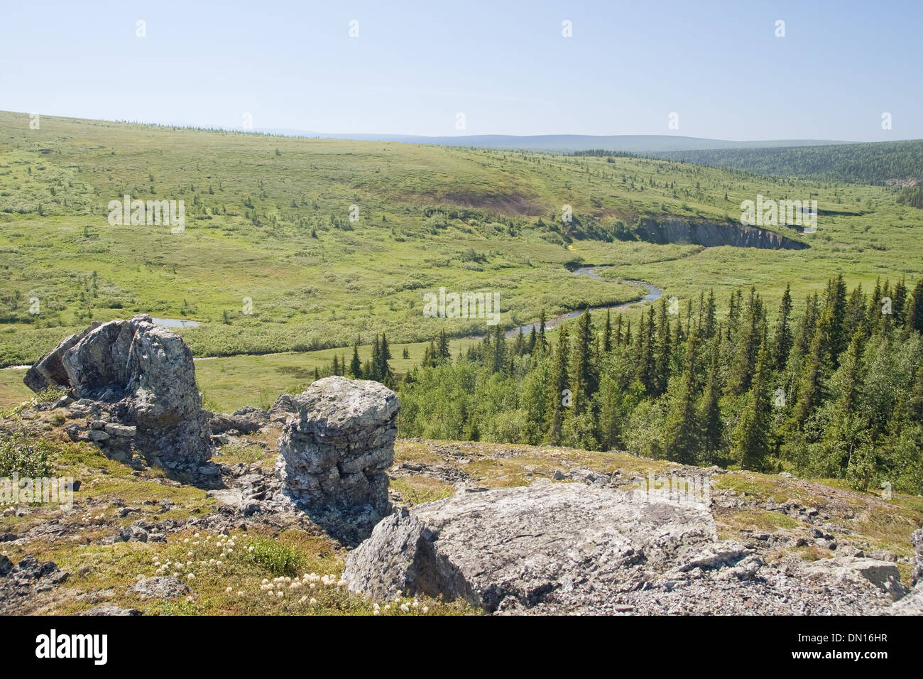 Grünen Tal mit Tannen in der Nähe von Ural Berge, Russland Stockfoto