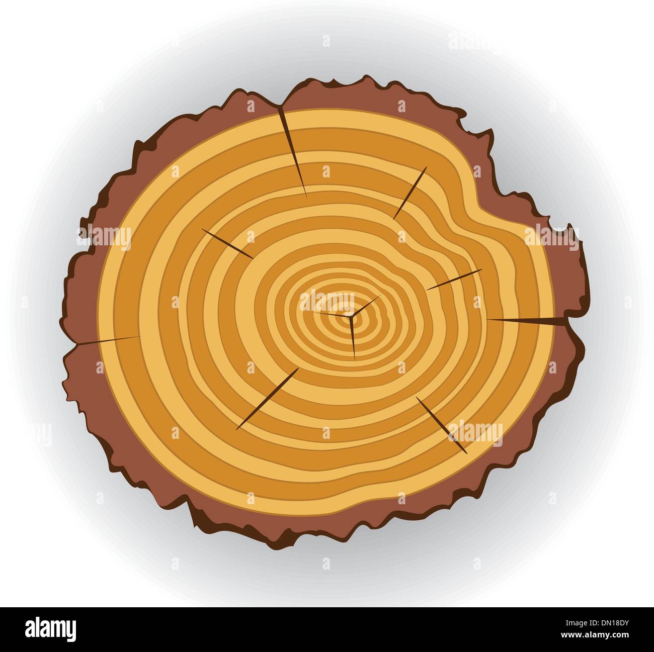 Vektor aus Holz geschnitten Stock Vektor