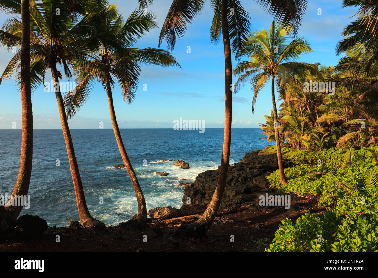 USA, Hawaii, Big Island, South Shore Stockfoto