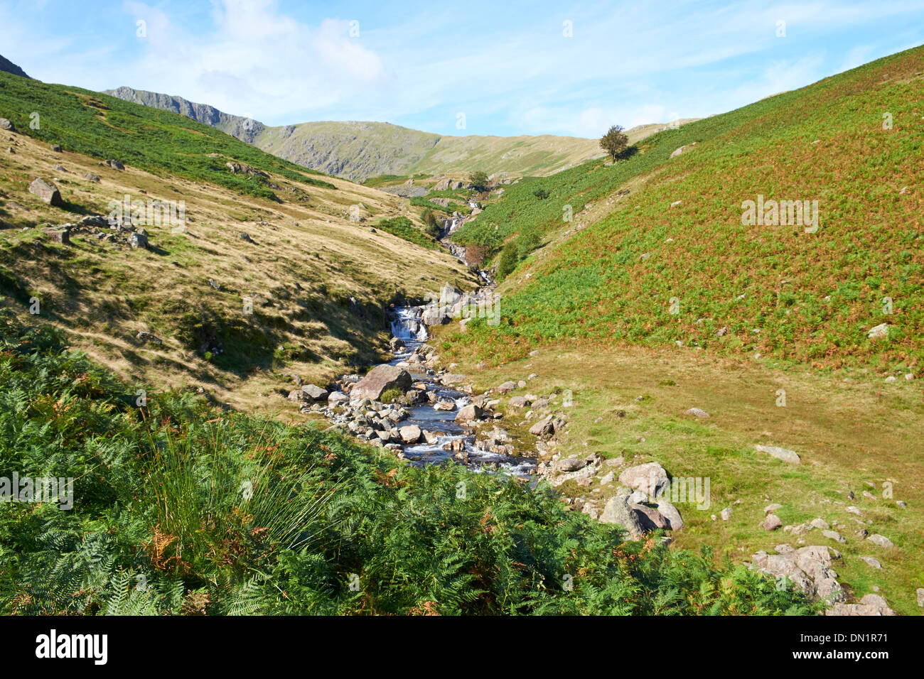 Greenburn Beck in der Nähe von Little Langdale im Lake District. Stockfoto