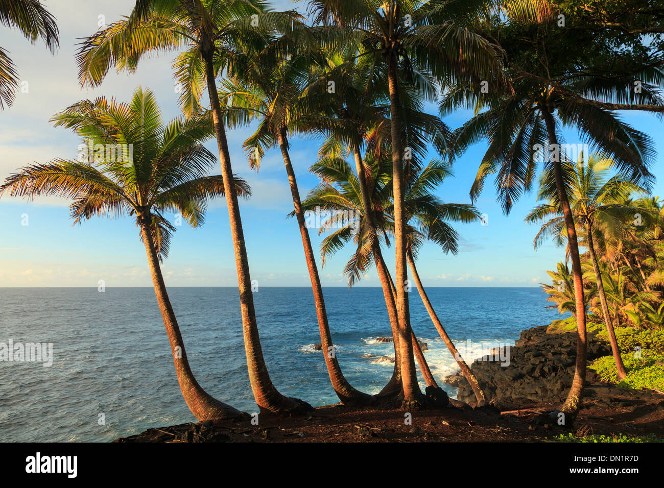 USA, Hawaii, Big Island, South Shore Stockfoto