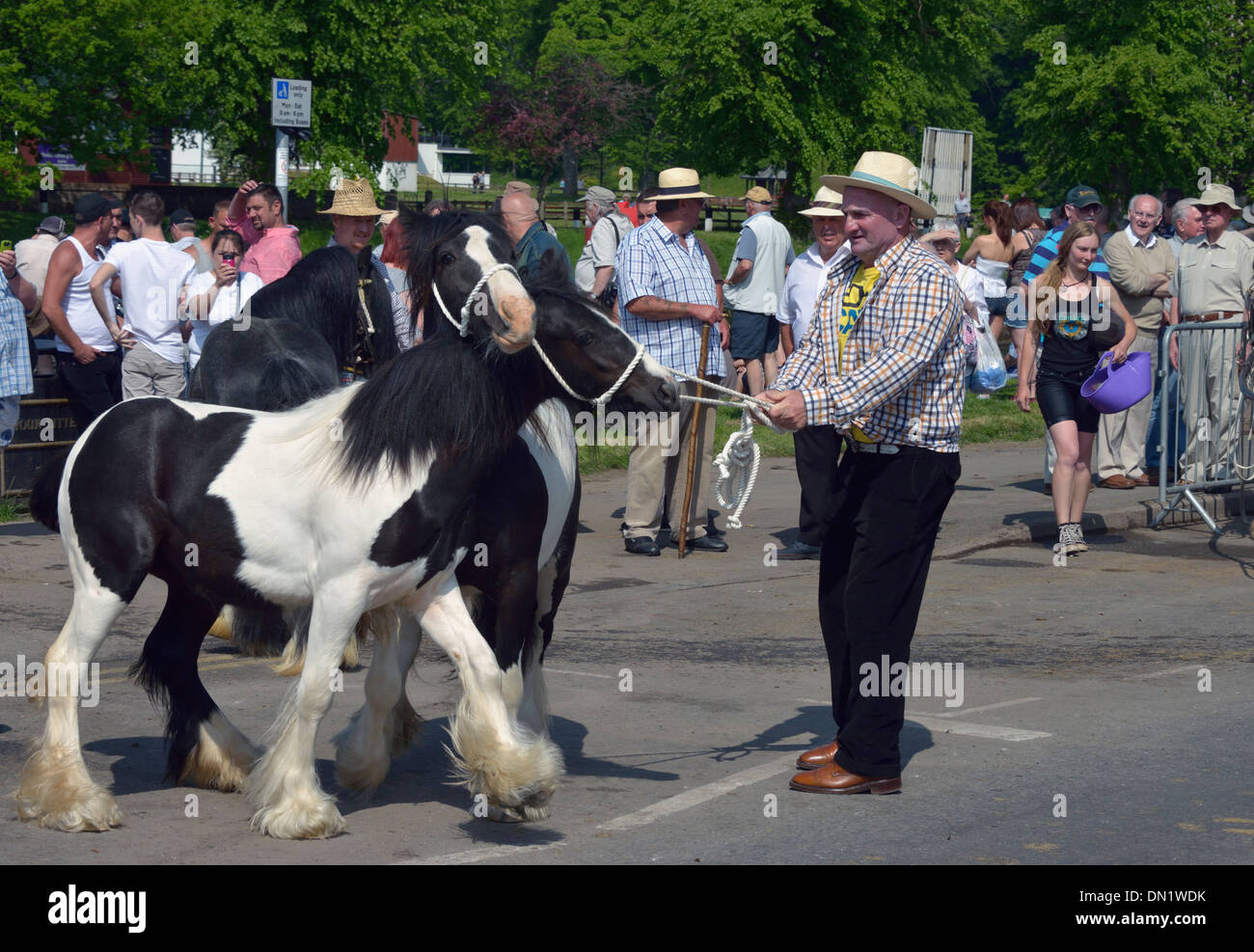 Gypsy-Reisende mit Pferden. Appleby Pferdemesse, Juni 2013. Appleby in Westmorland, Cumbria, England, Vereinigtes Königreich, Europa. Stockfoto
