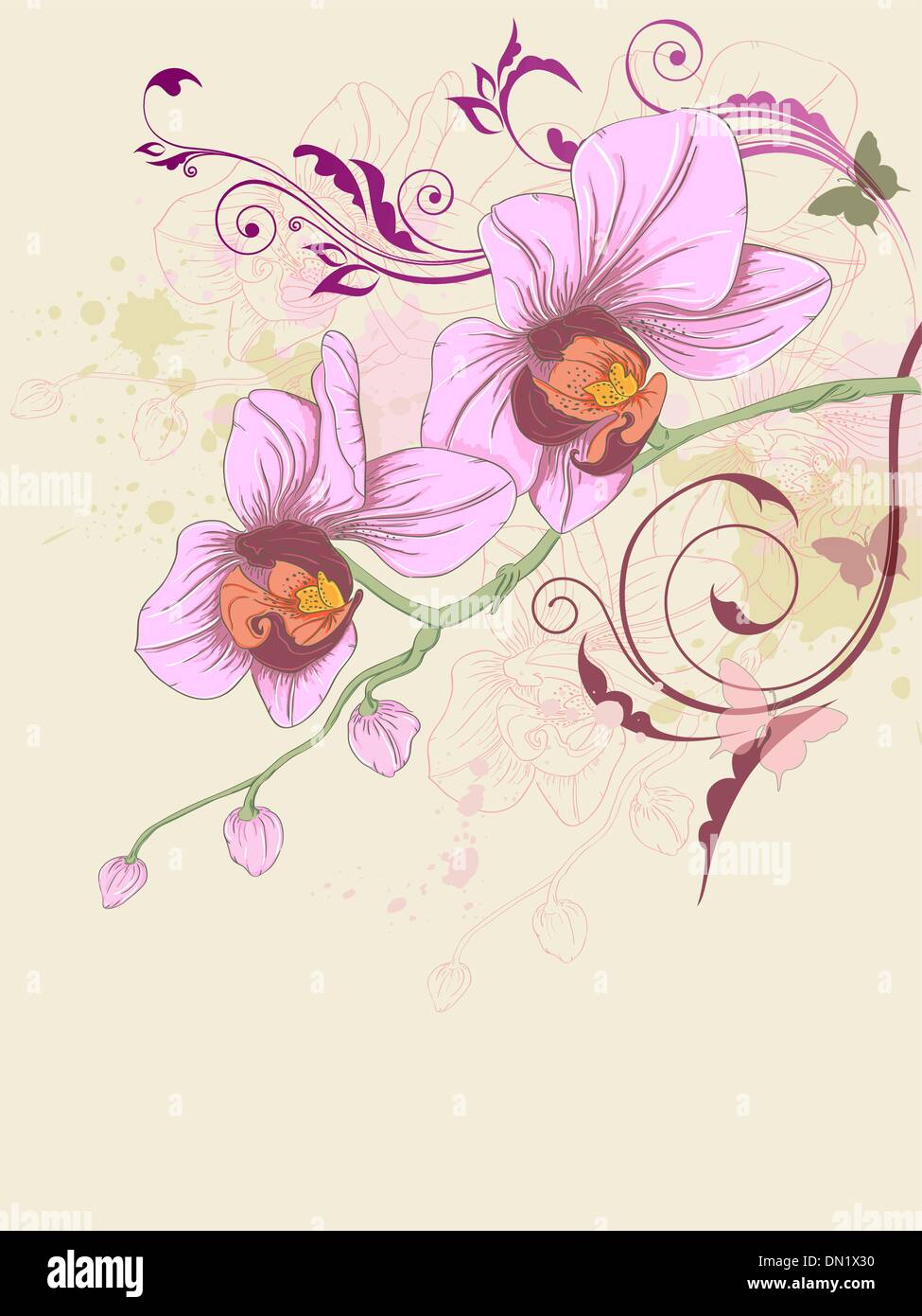 Blumenkarte mit Orchideen und ornament Stock Vektor