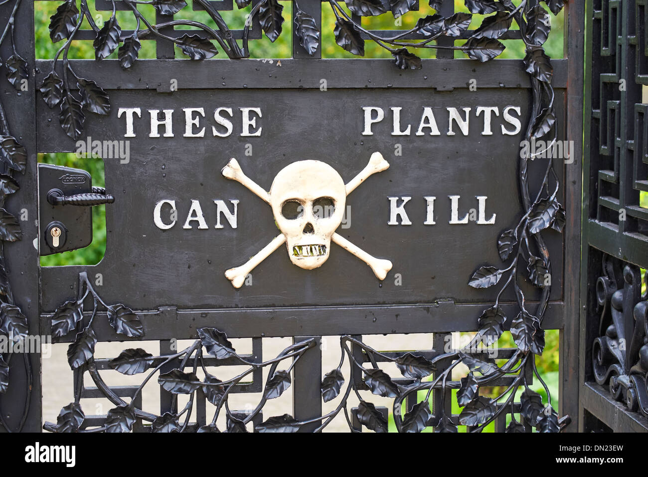 Vergiften Sie, Garten an Garten Alnwick, Northumberland, England, UK. Stockfoto