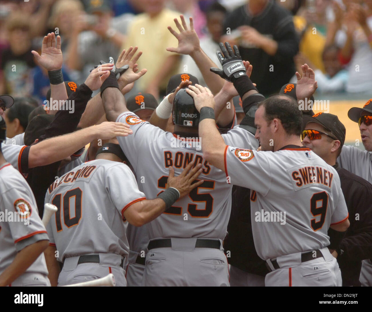 20. Mai 2006; Oakland, Kalifornien, USA; BASEBALL MLB: Riesen Slugger BARRY BONDS ist von Teamkollegen angenommen, nach der Kollision mit Home-Run #714 aus Leichtathletik Starter Brad Halsey im 2. Inning Samstagnachmittag Spiel zwischen den San Francisco Giants und Oakland Athletics Stadium McAfee in Oakland. Obligatorische Credit: Foto von Jose Luis Villegas/Sacramento Bee/ZUMA Press. (©) Copyright 2006 von S Stockfoto