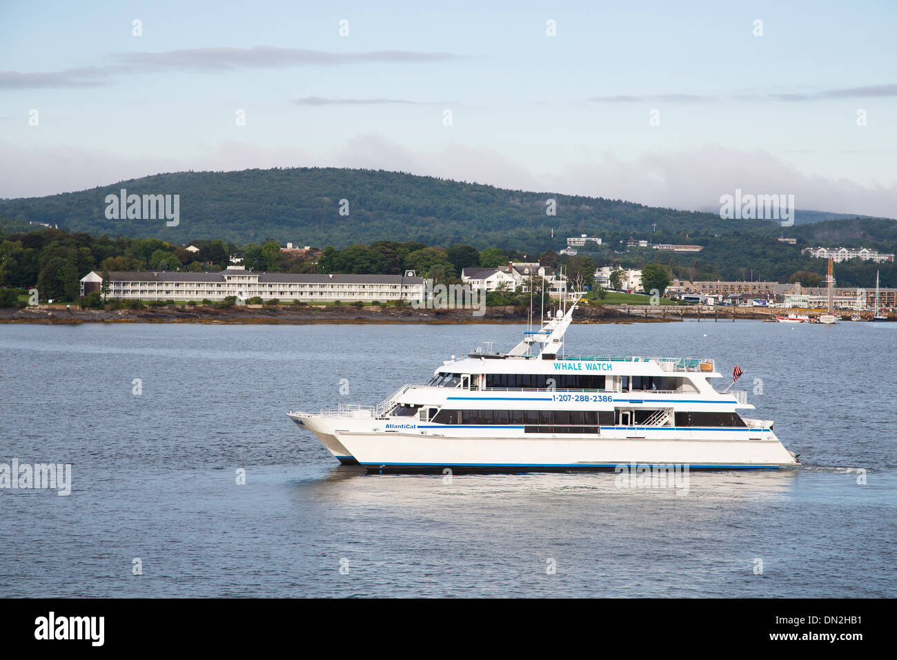 Eine große Walbeobachtung Boot Kreuzfahrt entlang der Küste von Maine, in der Nähe von Bar Harbor Stockfoto