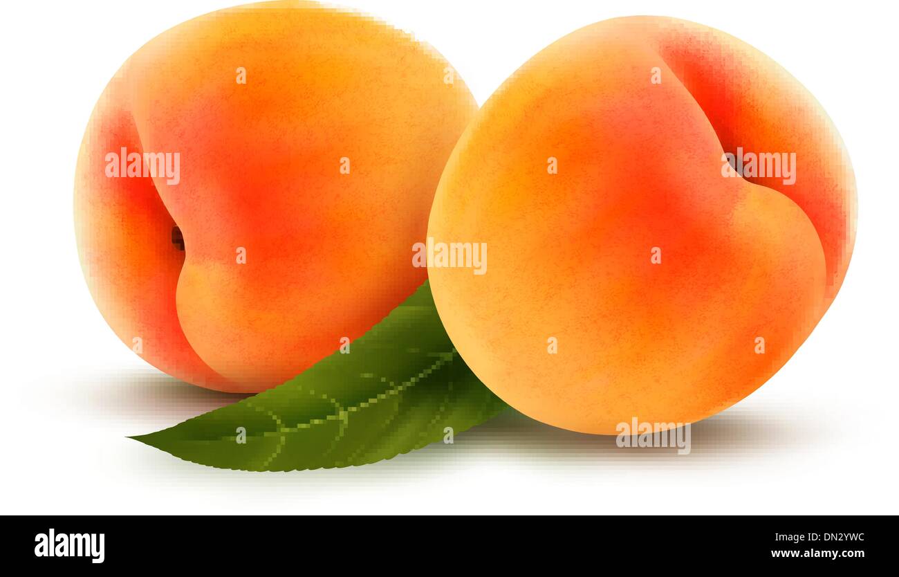 RPE Pfirsich isoliert auf weiss. Vektor-illustration Stock Vektor