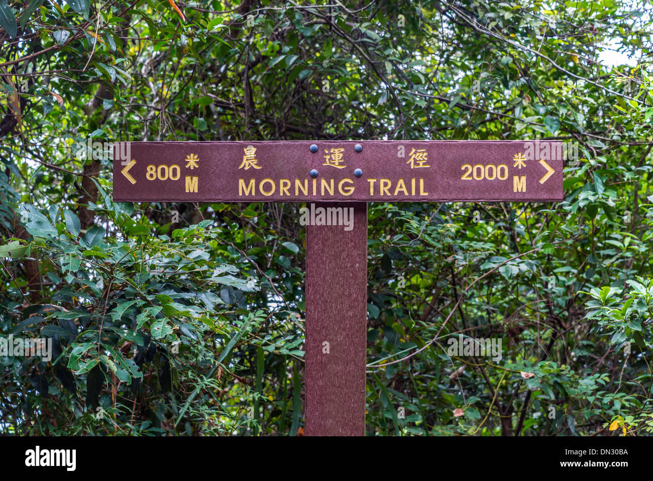 Morgen-Trail Wegweiser, Peak, Hongkong Stockfoto