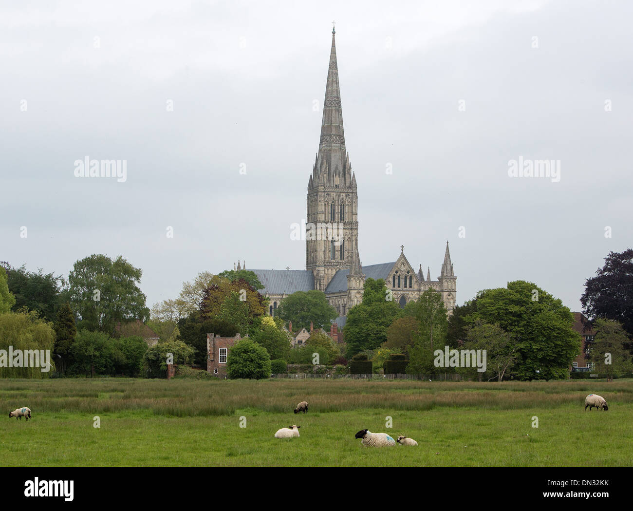 GV der Kathedrale von Salisbury, Wiltshire. 29. Mai 2013 Stockfoto