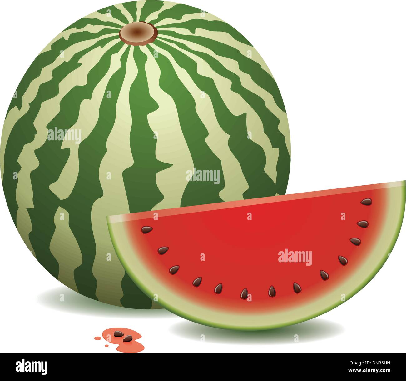Vektor-Wassermelone Stock Vektor