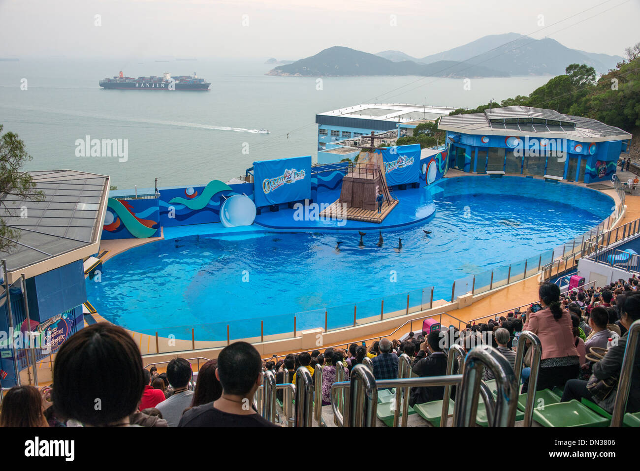 Ocean Park Marine Delphin Theateraufführung, Hong Kong Stockfoto