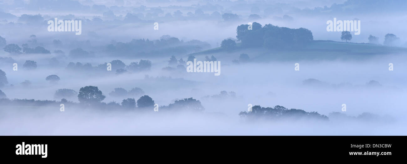 Nebel bedeckte Landschaft von Somerset Levels, Wells, Somerset, England. Herbst (September) 2013. Stockfoto