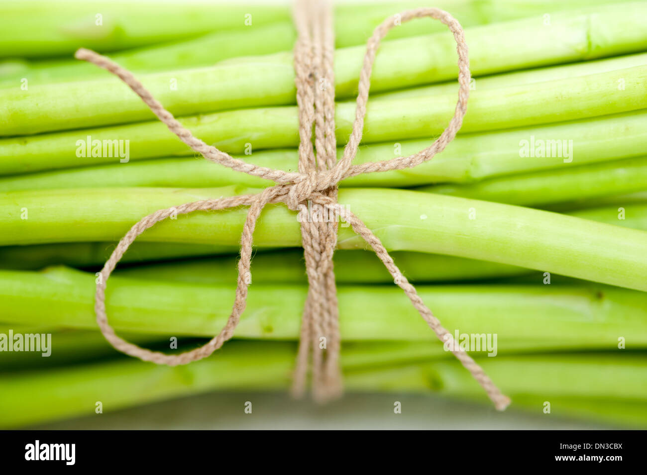 Frischer Spargel aus dem Garten auf weißem Hintergrund Stockfoto