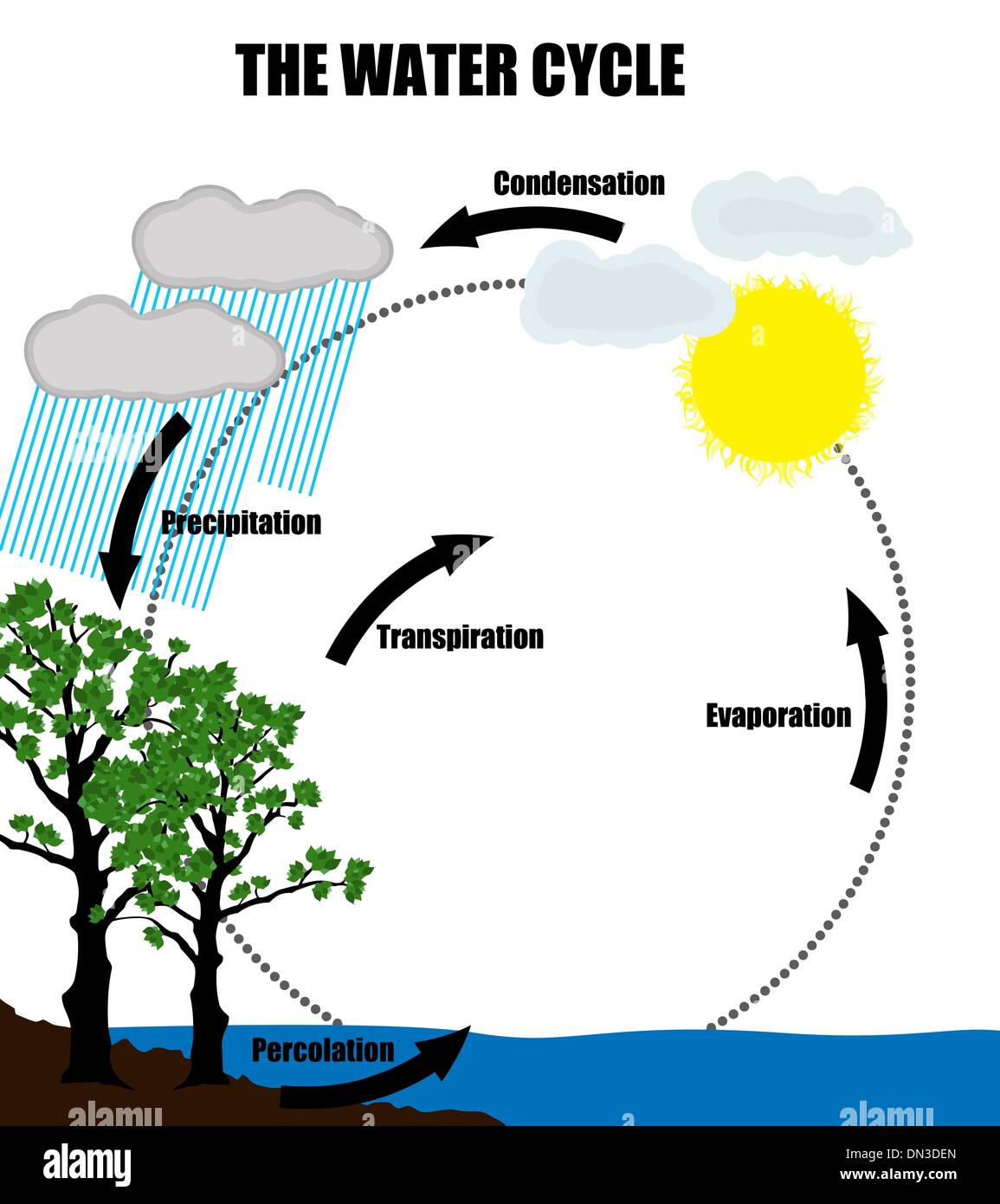 Schematische Darstellung der Kreislauf des Wassers in der Natur Stock Vektor