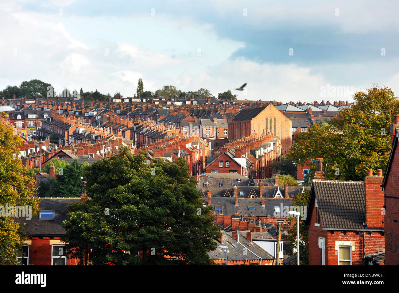 Ansicht von dicht gepackten Gehäuse Harehills, Leeds Stockfoto