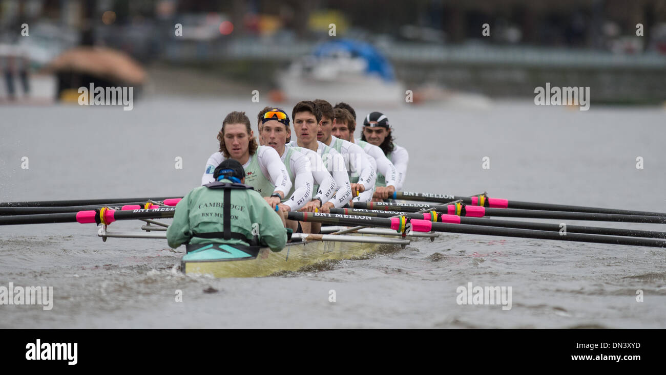 29.03.2013 Bootsrennen Testversion VIIIs.  Cambridge University Boat Club. SEA SHELLS Boot (dunkle Shirts); Bogen: Chris Black; 2: Carlos Schuster; 3: Jason Lupatkin; 4: Helge Gruetjen; 5: Steve Dudek; 6: Mike Thorp; 7: Angus Knights; Schlaganfall: Luke Juckett; Cox: Ian Middleton. SHE SELLS Boot (Licht-Shirts, Gewinner); Bogen: Felix Newman; 2: Ricardo Herreros-Symons; 3: Florian Herbst; 4: Alexander Leichter; 5: Ivo Dawkins; 6: Matthew Jackson; 7: Joshua Hooper; Schlaganfall: Henry Hoffstot; Cox: Arav Gupta. Stockfoto